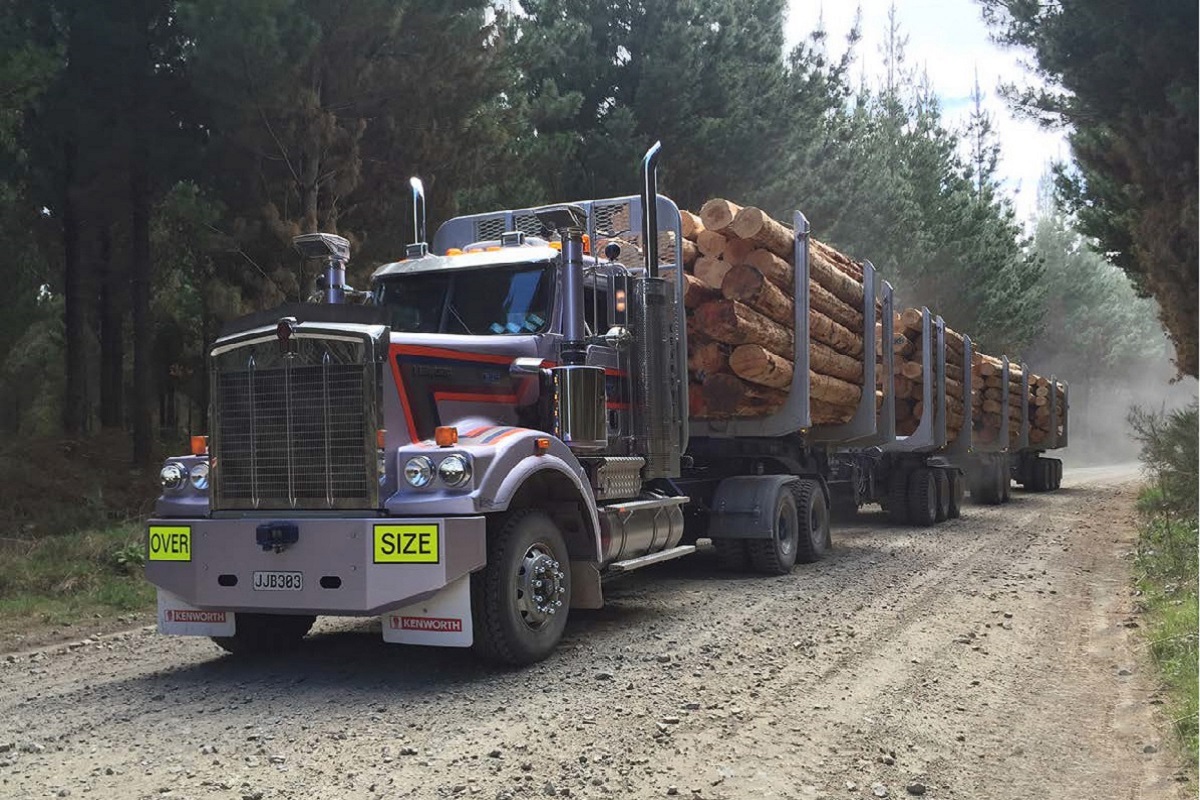 A kenworth hauls logs on a forest road
