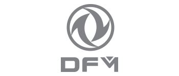 DFM logo.