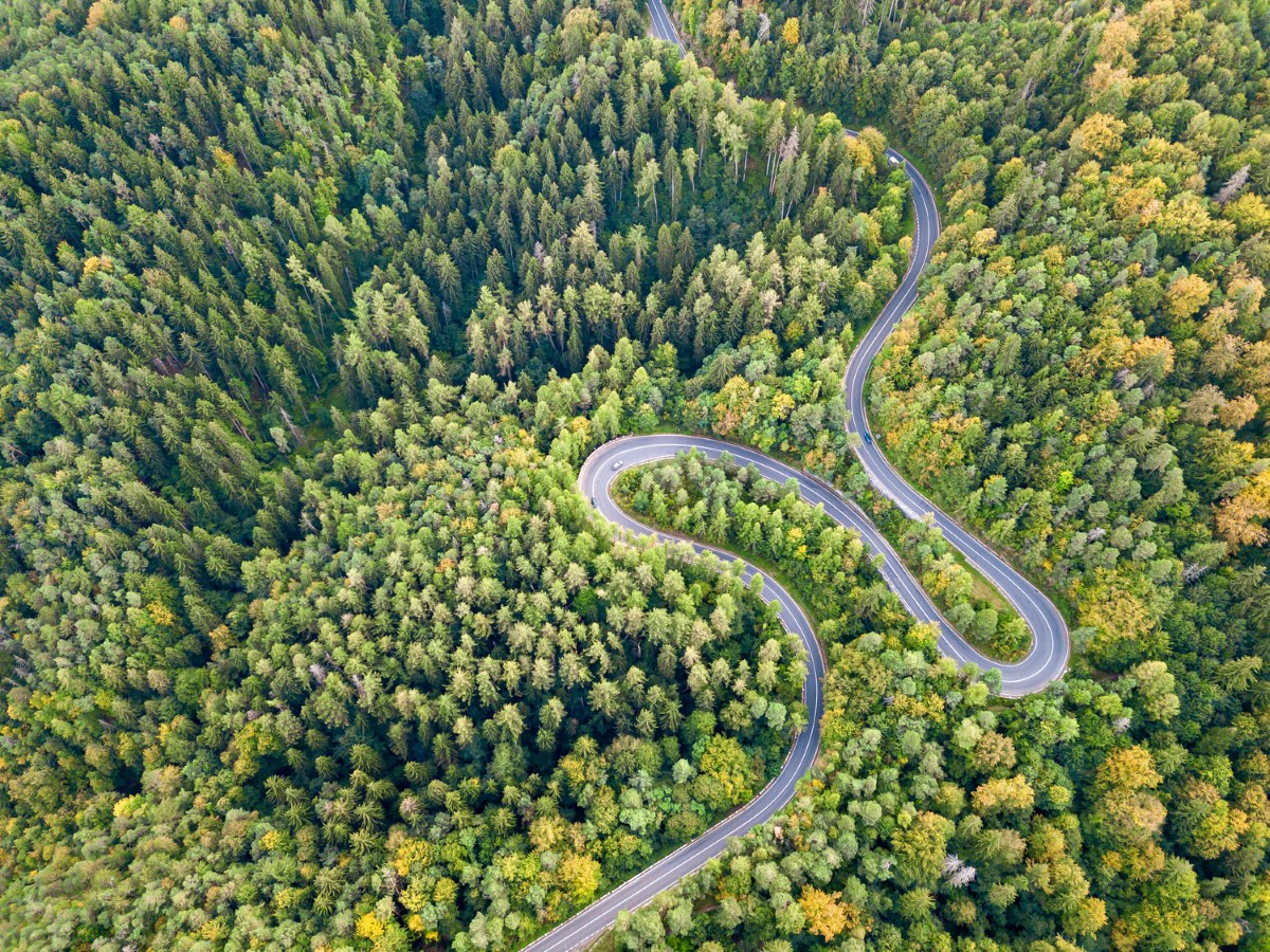 windy highway through forested area