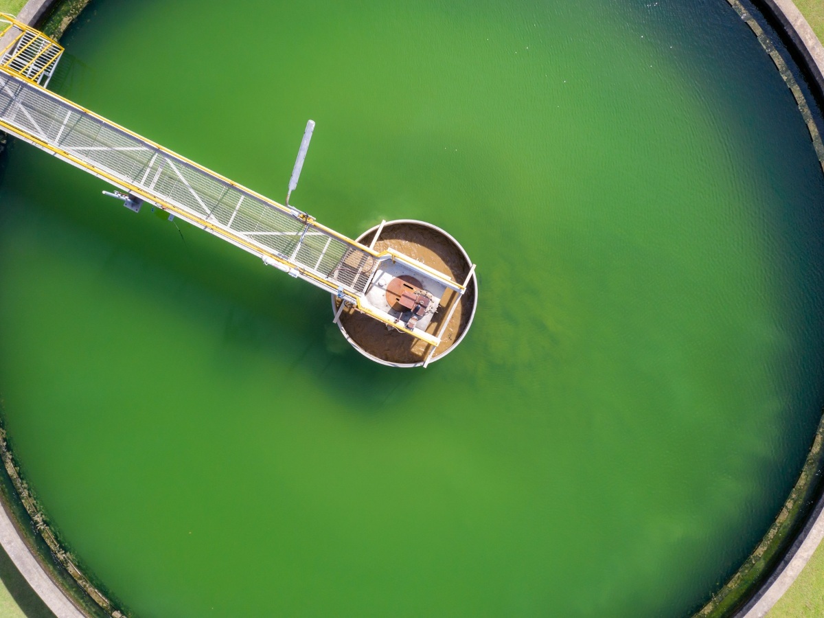 green water in wastewater holding tank