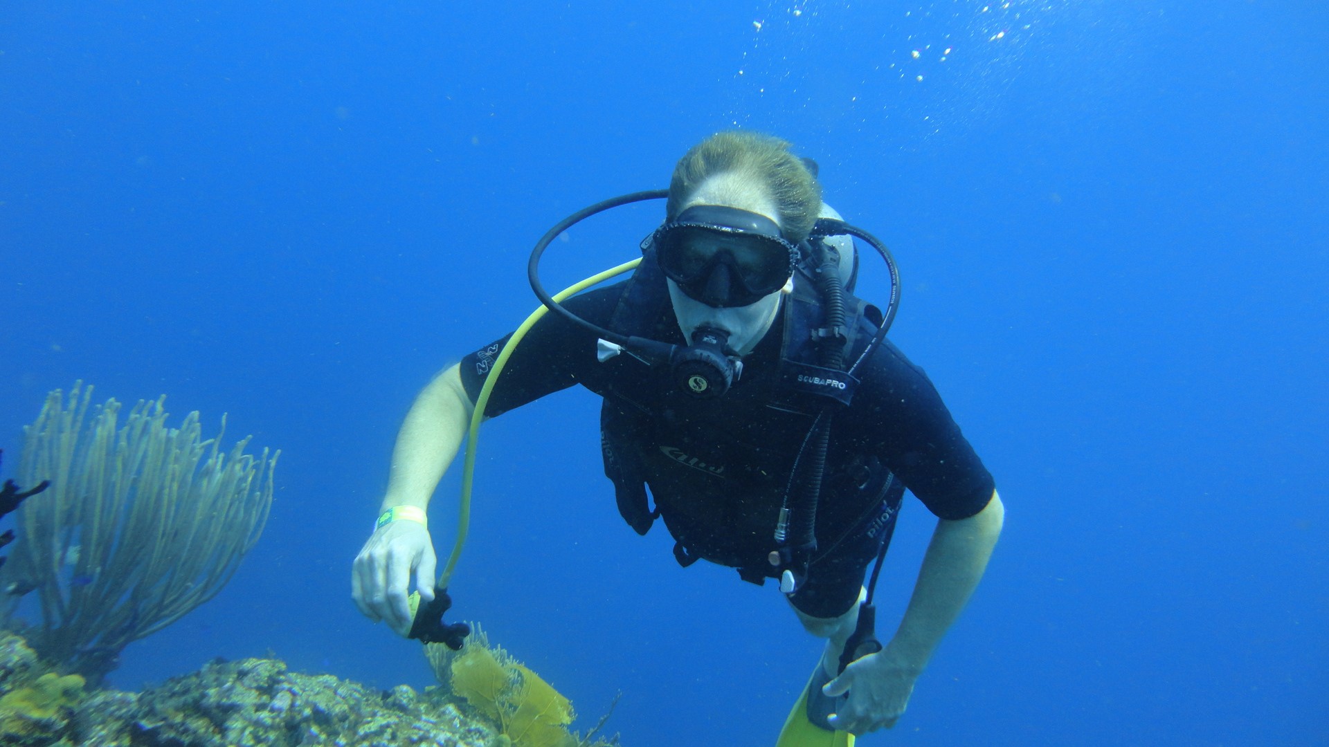 Frank snorkeling in the Dominican Republic