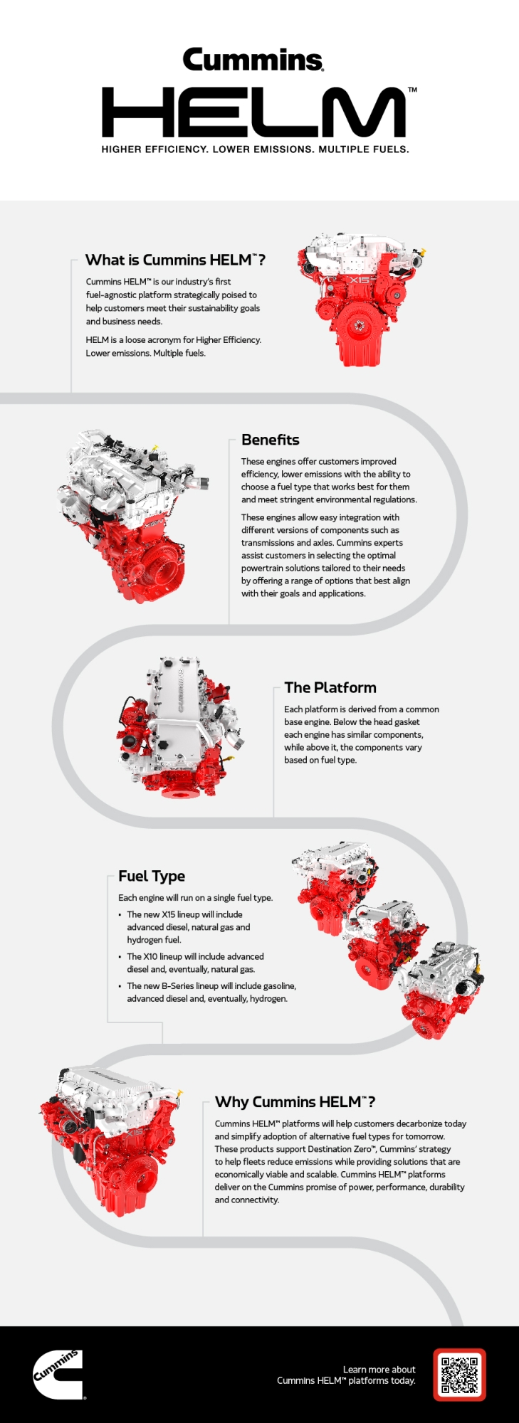 infographic