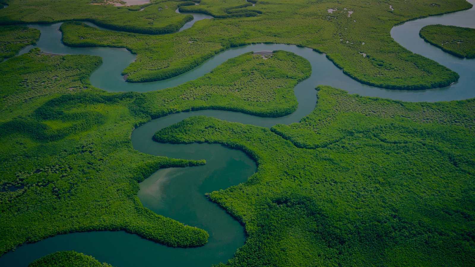 Wetlands