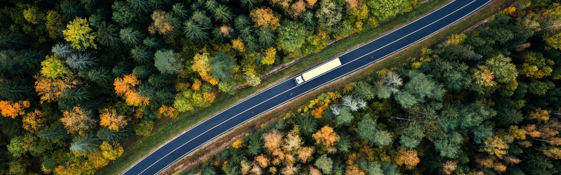 Truck driving on road surrounded by trees