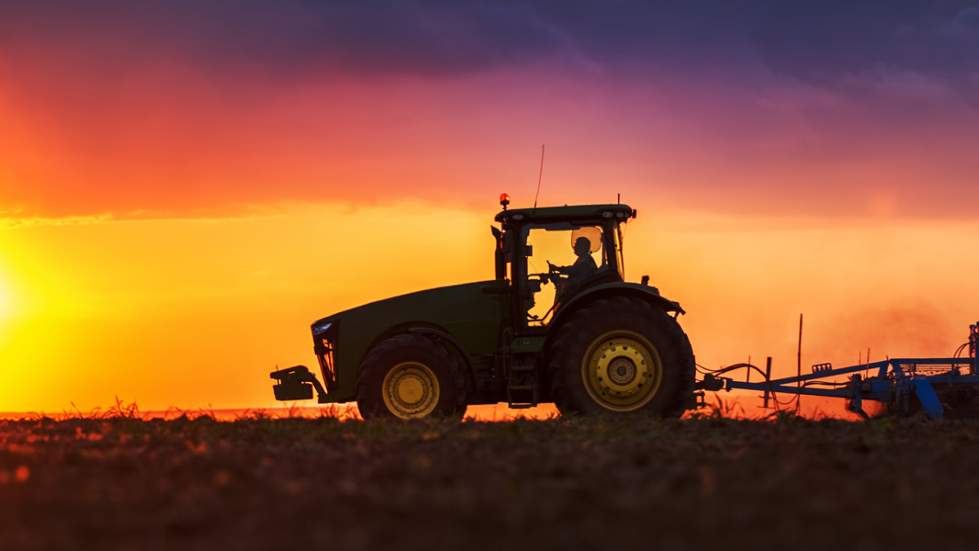 tractor working a field at sunset