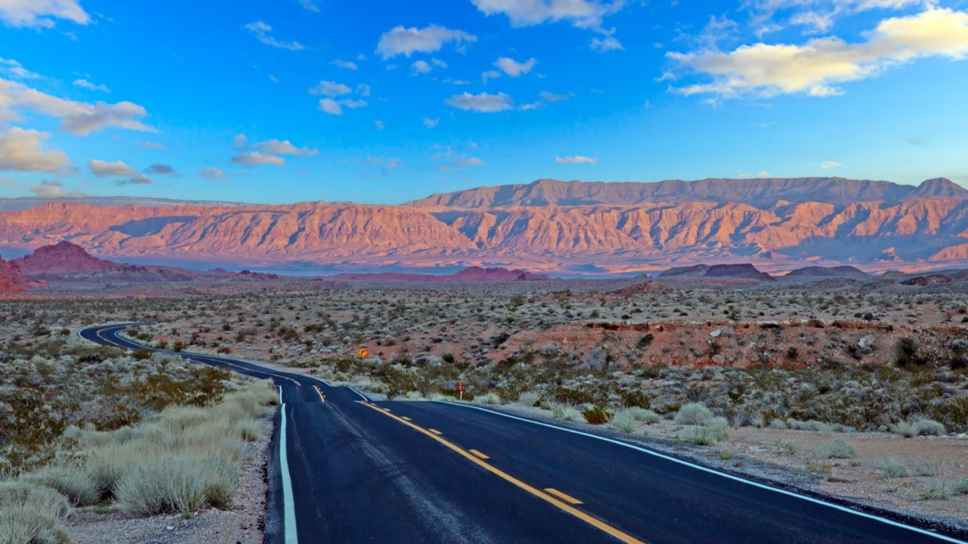 desert landscape