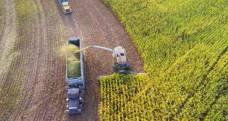 trucks in a field