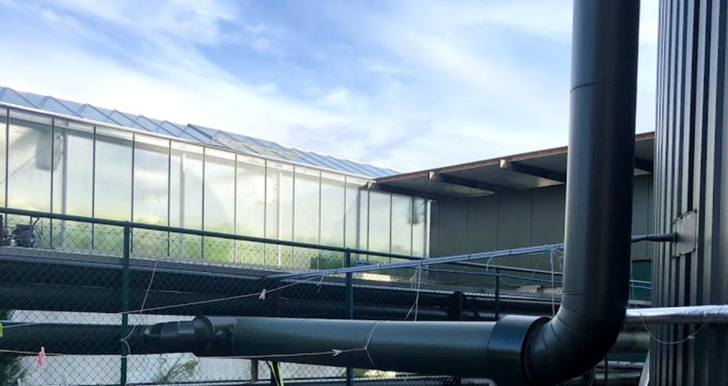 The Valegro greenhouse in Belgium uses the reliable power source of the HSK78G to flexibly meet its own energy needs. 