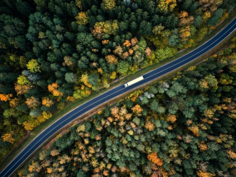 Truck driving on road surrounded by trees