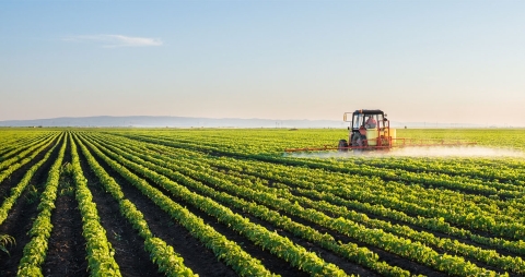 Tractor driving through green crop field on a sunny day