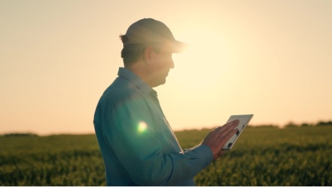 Farmer on a tablet