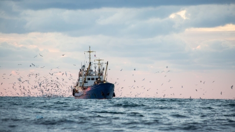 fishing boat on ocean