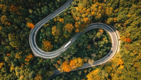 Road with trees surrounding it