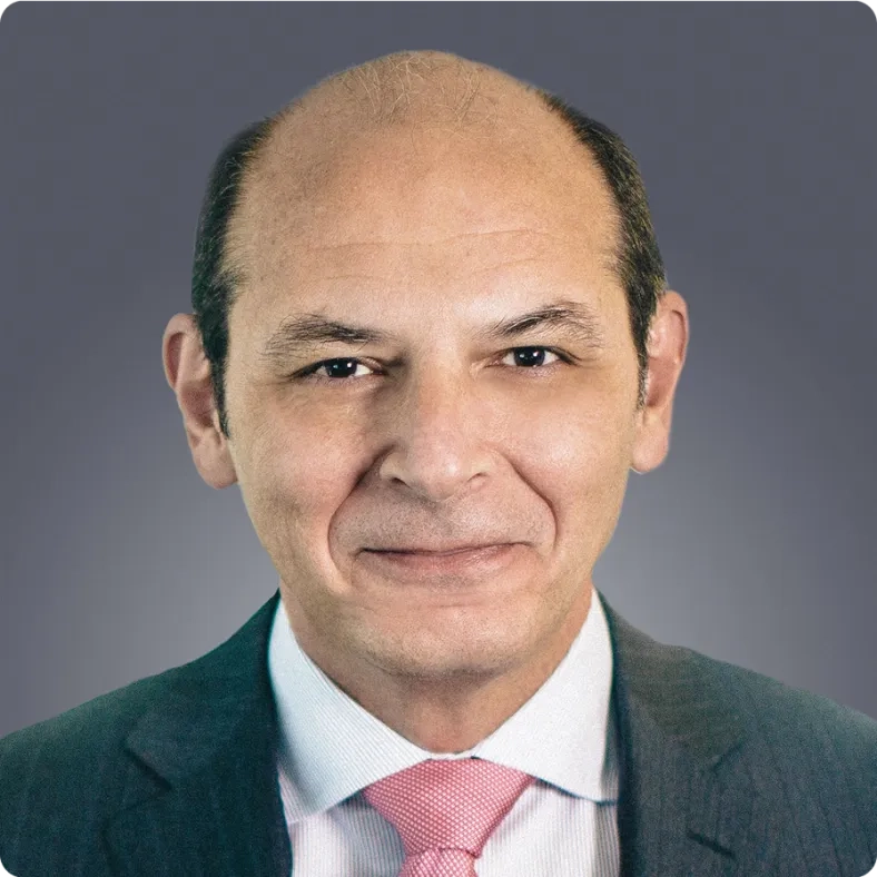 Bruno V. Di Leo