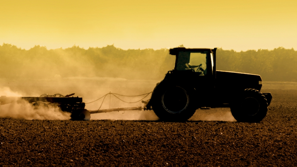 Tractor in a field