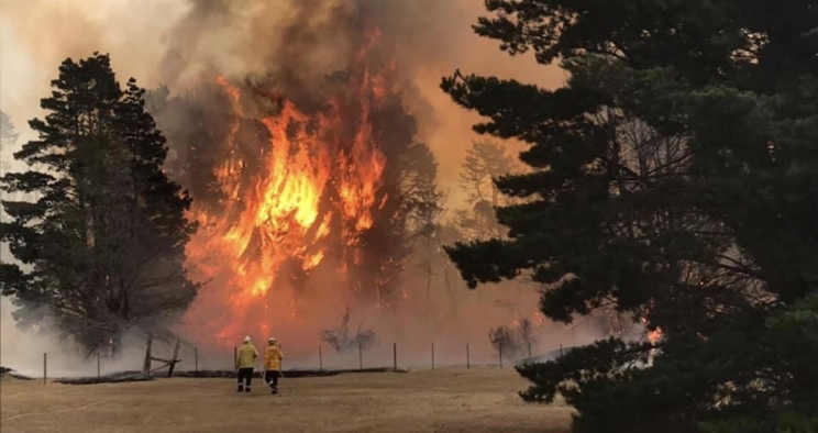 Volunteer firefighter Scott Marks (left) watches as pine trees burst into flames near a house he was protecting in Balmoral Village, New South Wales, Australia.