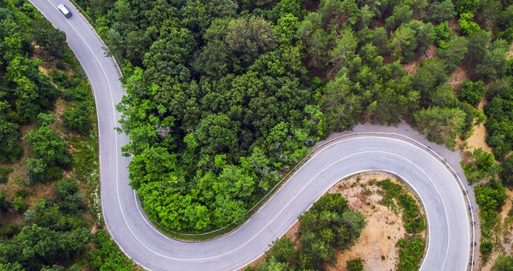 Road winding through forest