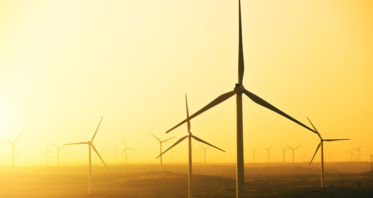 Field With Wind Turbines