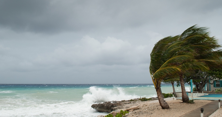 tropical storm