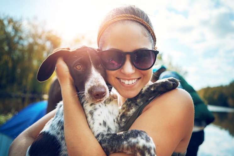 Protecting your pet in the summer heat