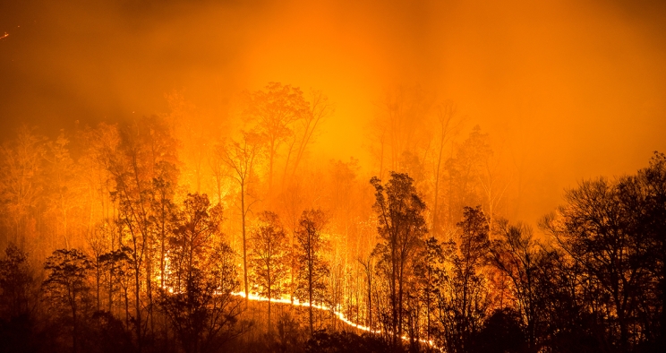 Wildfire image