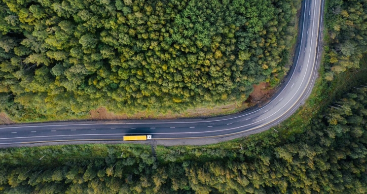 Truck on a road surrounded by trees