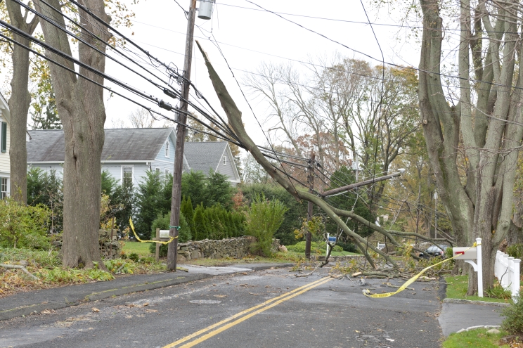 Damage after a hurricane