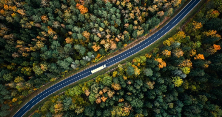 Overhead view of truck driving between trees