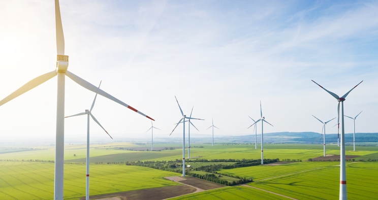 A windfarm under a sunny sky.