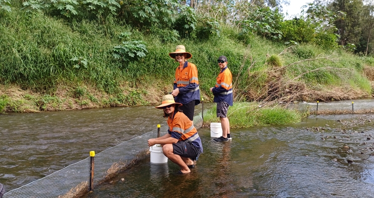 Employees volunteering to clean river