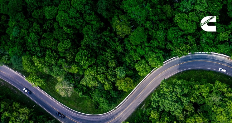 Cars driving on a windy road through forest