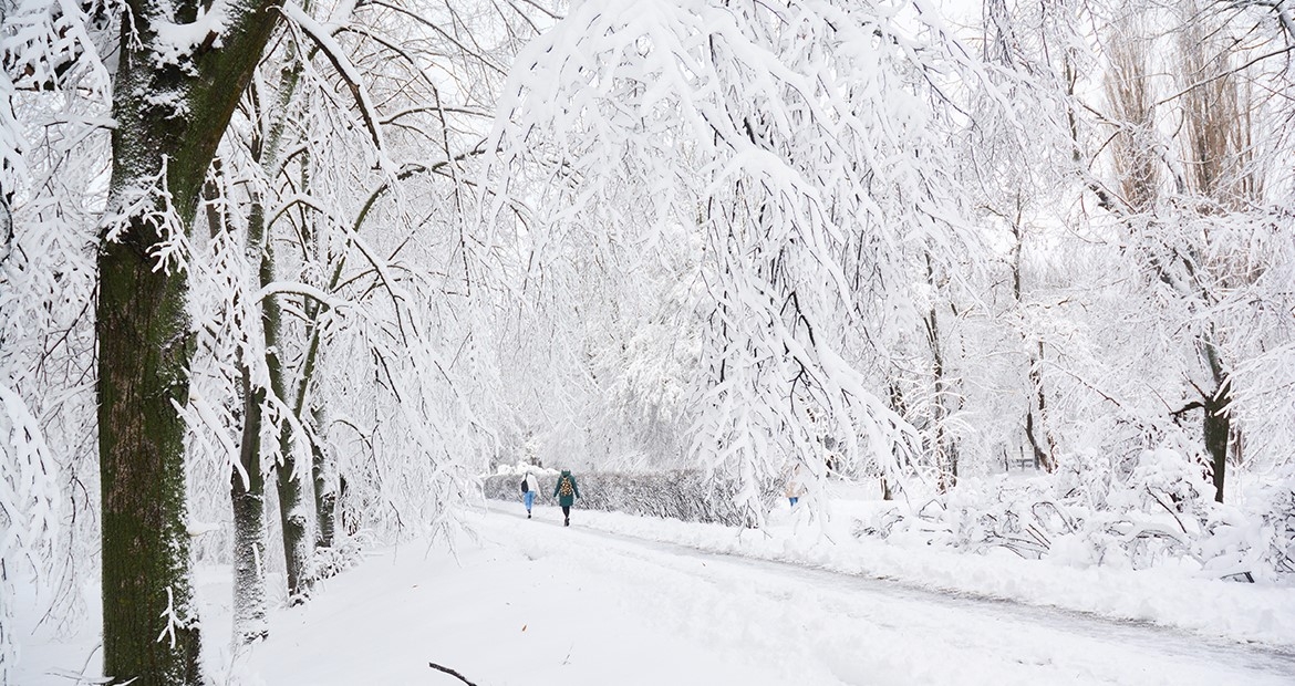 People walking on a trail while it's snowing