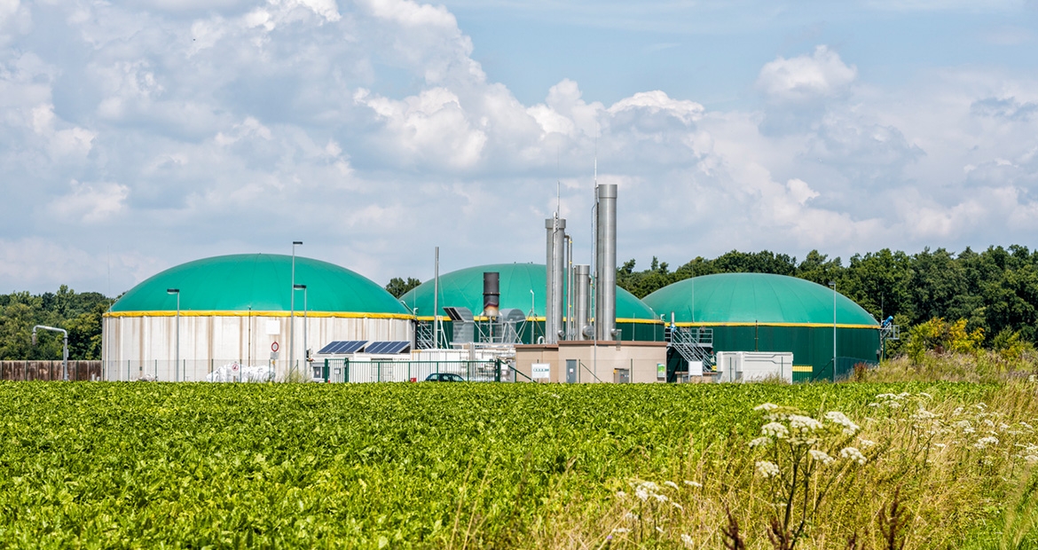 Anaerobic digester