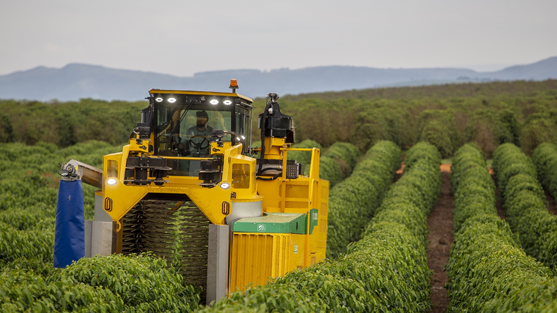 Oxbo 9240 Coffee Harvester