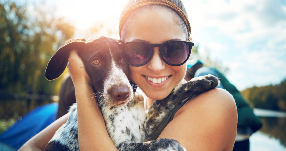 Protecting your pet in the summer heat