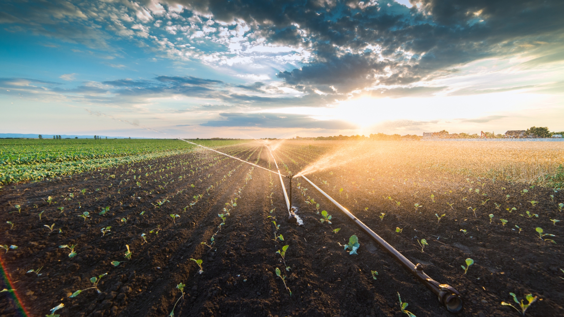 Biodiesel and the X15: Low-carbon power for 2027 and beyond