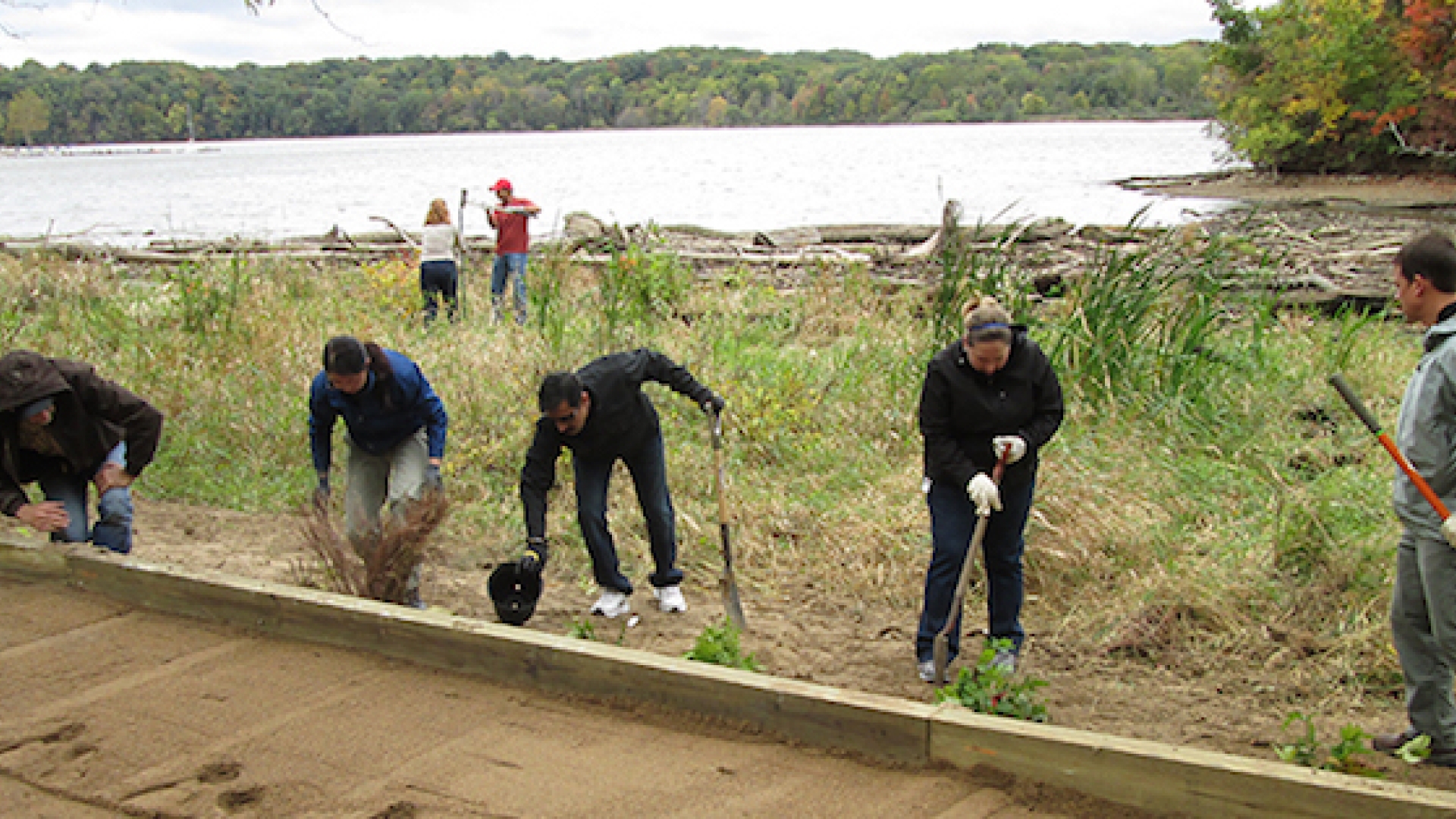 Cummins employees in Indianapolis, Indiana, reopened a cove in a reservoir that provides drinking water to the city by removing non-native invasive species. cummins community involvement metrics