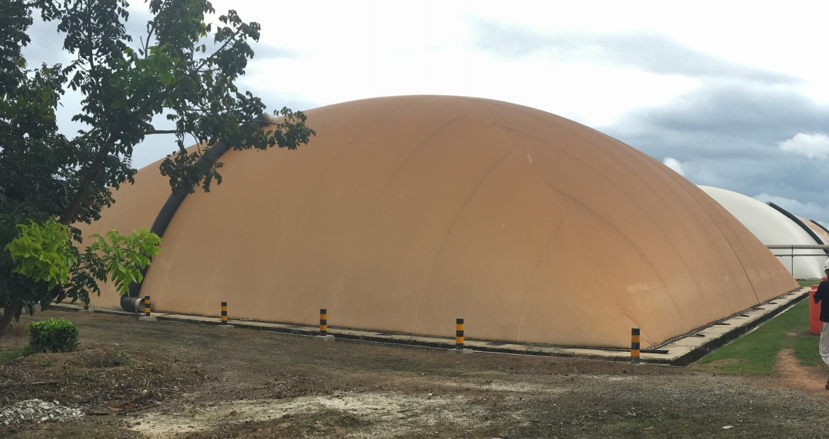 A covered lagoon used to trap methane from palm oil mill effluent and power a generator set. A covered lagoon used to trap methane from palm oil mill effluent and power a generator set