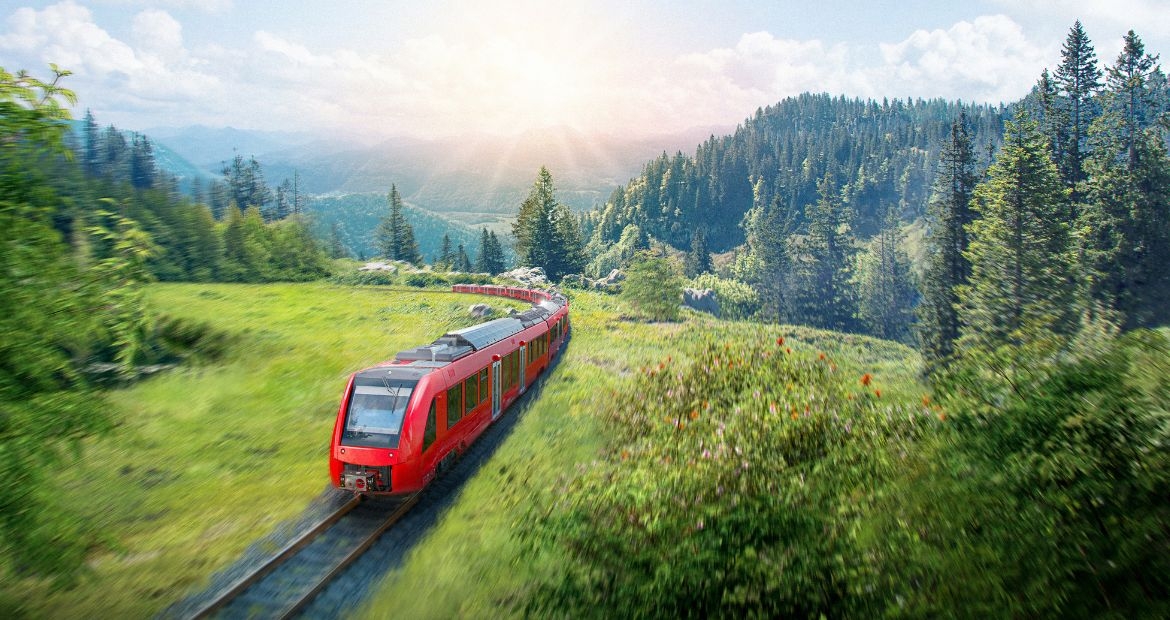 train on track surrounded by trees