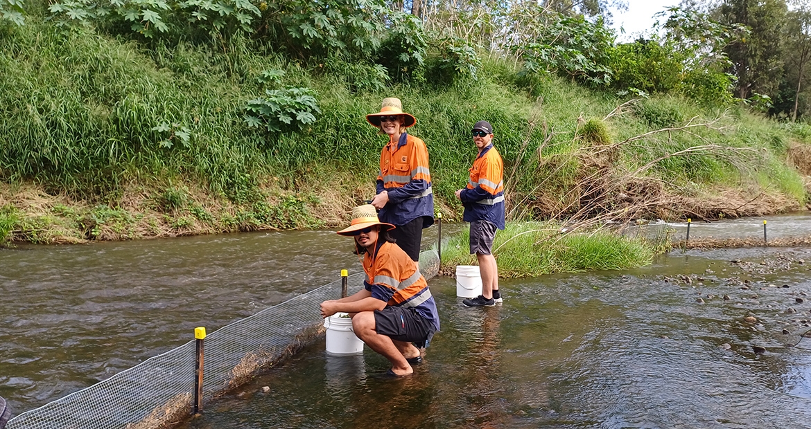 Employees volunteering to clean river