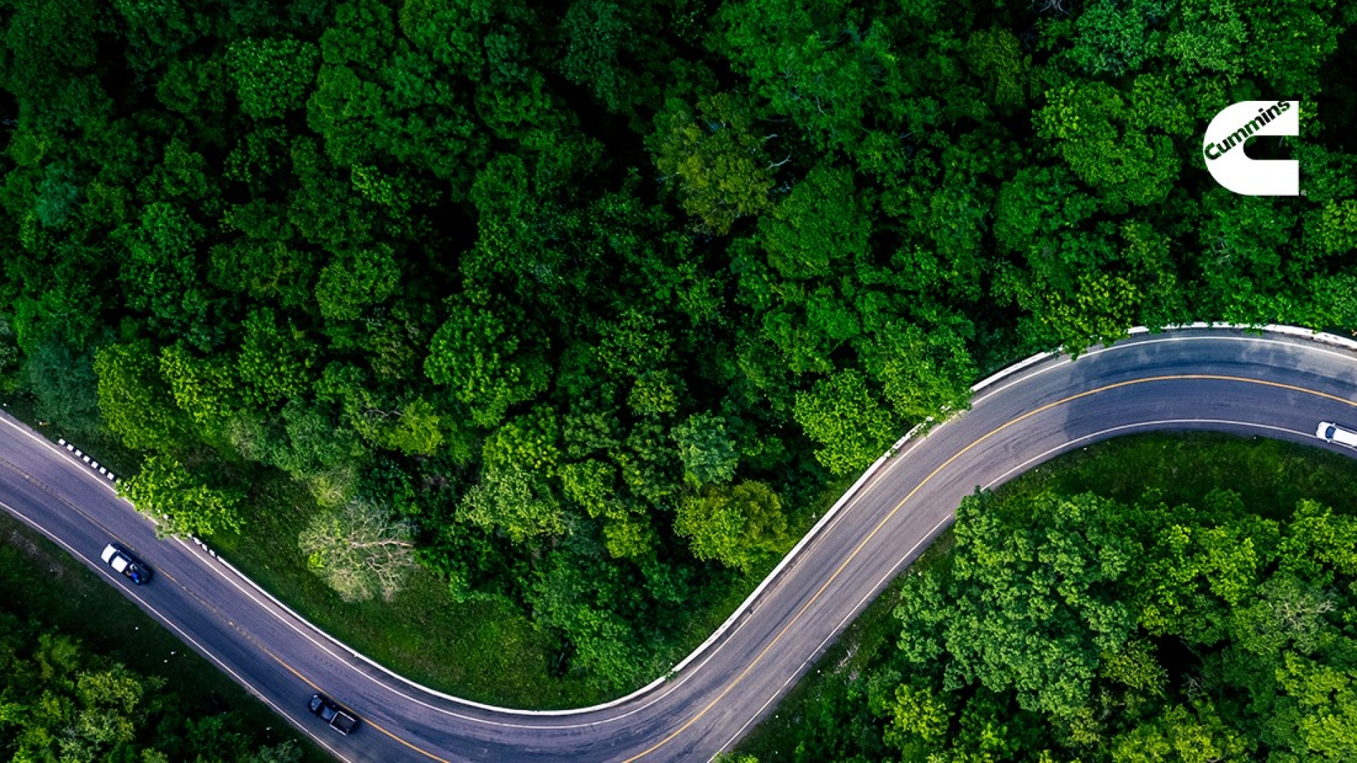 Cars driving on a windy road through forest