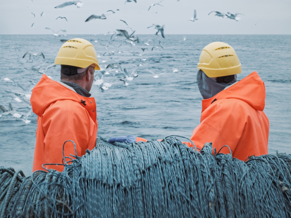 marine workers look over the water