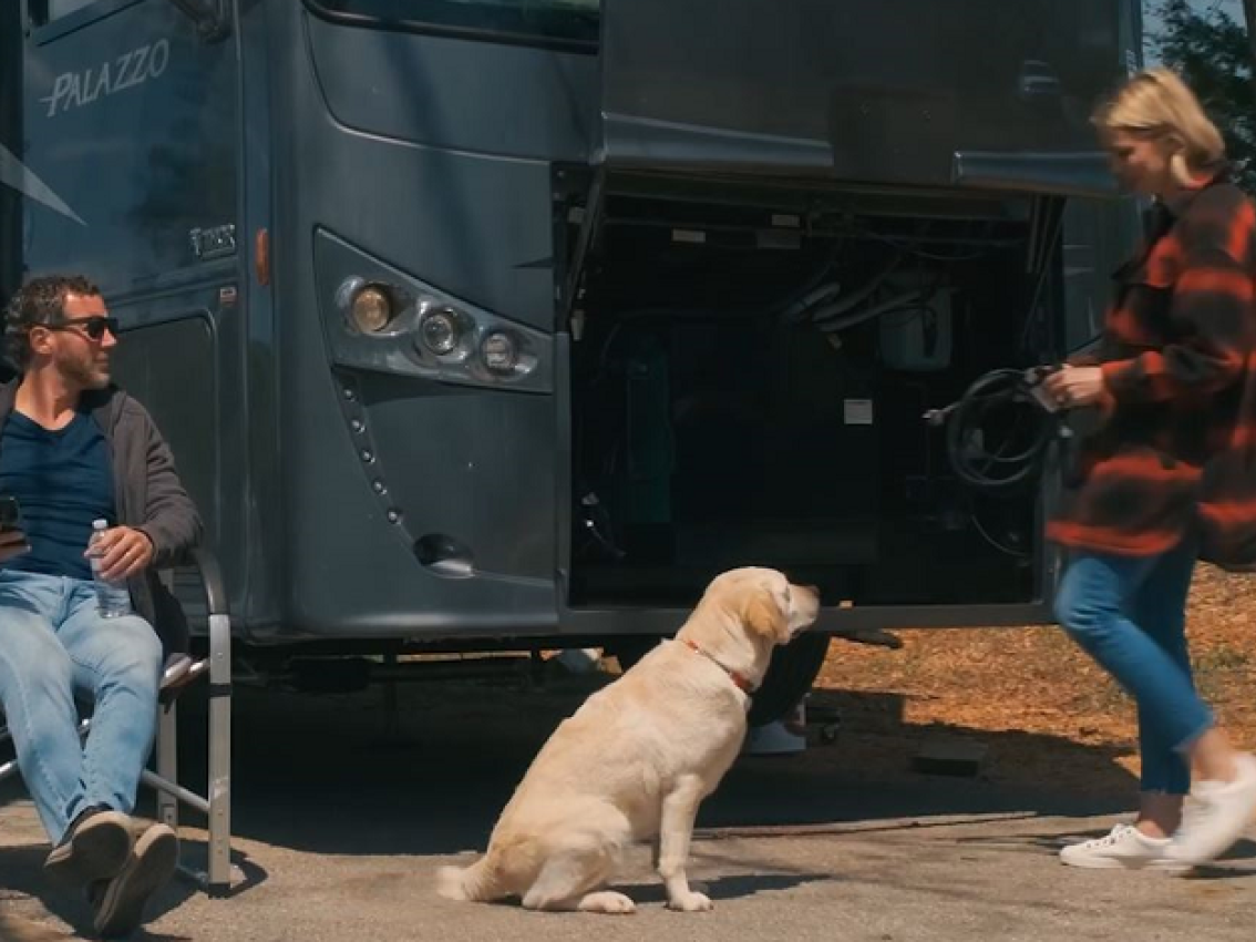 rv life with dog