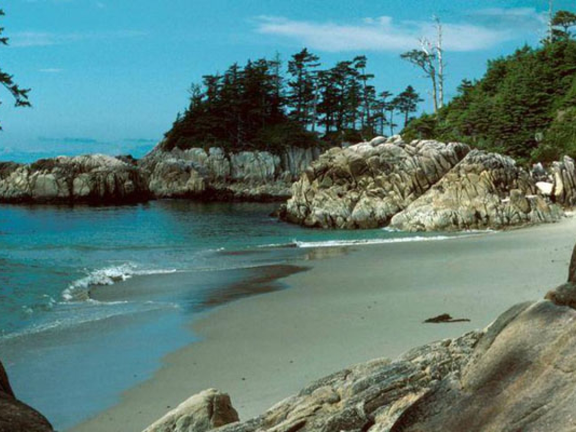 Blue sky and clear water at Calvert Island beach.