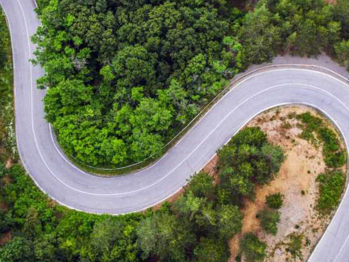 winding road in forest winding road in forest