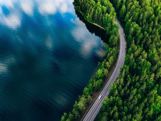 Road surrounded by trees next to body of water