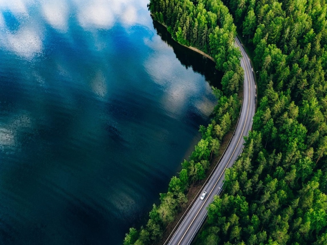 Road surrounded by trees next to body of water