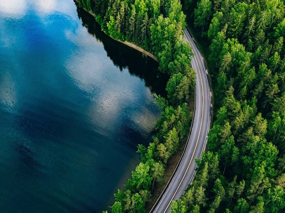 highway winding through forest