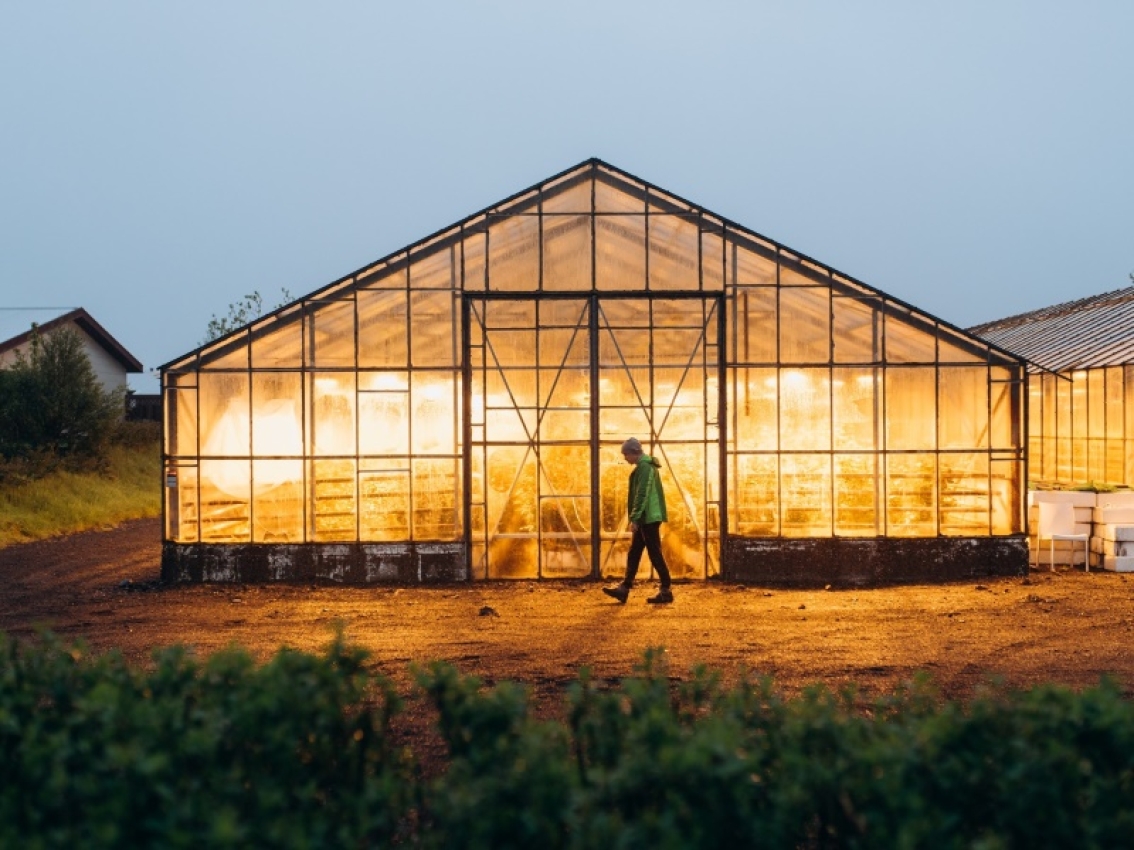 green house powered by hvo generator