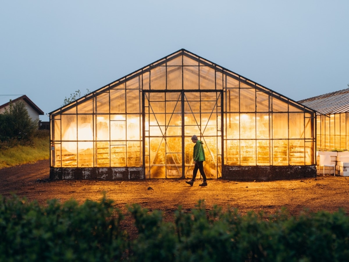 greenhouse powered by generator